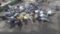 Bunch of pigeons eating on the road