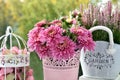 Bunch of pink chrysanthemum and heather flowers Royalty Free Stock Photo