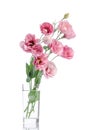 Bunch of pink eustoma flowers in glass vase