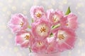 Bunch of pink fancy frills tulips Royalty Free Stock Photo