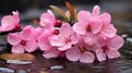 a bunch of pink flowers sitting on a rock