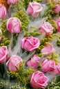 Bunch of pink roses Royalty Free Stock Photo