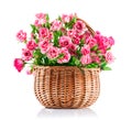 Bunch pink roses in wicker basket