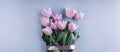 Bunch of pink tulip flowers on blue background. Waiting for spring. Happy Easter card. Royalty Free Stock Photo