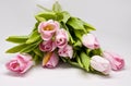 Pink tulipes Royalty Free Stock Photo