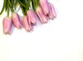 Bunch of pink tulips against white background. Shallow DOF.