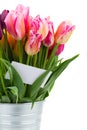 Bunch of pink tulips flowers close up Royalty Free Stock Photo