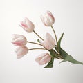 Beautiful Tiffany Tulips With Foliage - 3d Rendered Image In Subtle Pastel Hues