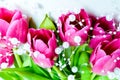 Bunch of pink tulips with white pearls