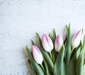 Bunch of pink tulips on white wooden table. Banner with copy space - Image Royalty Free Stock Photo