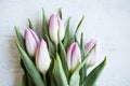 Bunch of pink tulips on white wooden table. Banner with copy space - Image Royalty Free Stock Photo