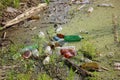 Bunch of plastic bottles thrown into the water. garbage, waste, environmental pollution Royalty Free Stock Photo
