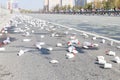 A bunch of plastic cups and empty bottles on the streets while a marathon running