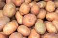 Bunch of potato closeup image. Brown and yellow vegetables picture.