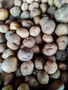 This bunch of potatoes looks like rocks