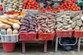 Potatoes Variety