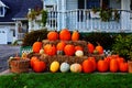 Bunch of pumpkins Royalty Free Stock Photo