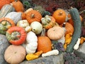 A bunch of pumpkins by halloween