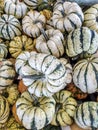 Bunch of Pumpkins at Market