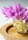 Bunch of purple crocus flowers in a glass vase. Royalty Free Stock Photo