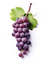 Bunch of purple grapes isolated on white background. Top view. Royalty Free Stock Photo