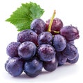 A bunch of purple grapes, a seedless fruit, on a white background Royalty Free Stock Photo