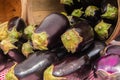 Bunch of purple and green eggplants in a basket on it`s side.