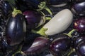 A bunch of purple and white eggplants are in a basket Royalty Free Stock Photo