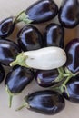 A bunch of purple and white eggplants are displayed on a table Royalty Free Stock Photo