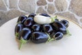 A bunch of purple and white eggplants are piled on top of each other Royalty Free Stock Photo