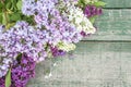 Bunch of purple, white lilacs on the old paint wooden background Royalty Free Stock Photo