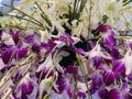 Bunch of purple and white orchids  for Valentine`s day  or Mother day or Woman day post card Royalty Free Stock Photo
