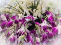 Bunch of purple and white orchids  for Valentine`s day  or Mother day or Woman day post card or wedding card Royalty Free Stock Photo