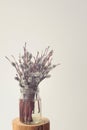 Bunch of willow twigs in glass jar on white background Royalty Free Stock Photo