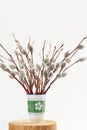 Bunch of willow twigs in green vase on white background Royalty Free Stock Photo