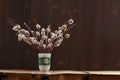 Bunch of willow twigs in green vase on wooden background Royalty Free Stock Photo