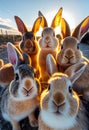 A bunch of rabbits take a selfie. AI Generated Royalty Free Stock Photo