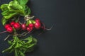 Bunch of radish with leaves on black background Royalty Free Stock Photo