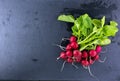 Bunch of radish with leaves on dark background Royalty Free Stock Photo