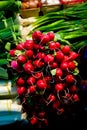 Bunch of radish and onions Royalty Free Stock Photo