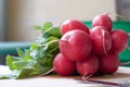 Bunch of radishes Royalty Free Stock Photo