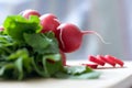 Bunch of radishes Royalty Free Stock Photo