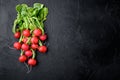 Bunch of radishes. Freshly harvested, purple colorful radish. Growing radish. Growing vegetables. Healthy food background, on Royalty Free Stock Photo