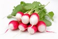 A bunch of radishes with leaves. AI Generated