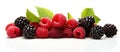 A bunch of raspberries and blackberries with green leaves on a white background Royalty Free Stock Photo