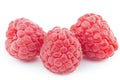 Bunch of raspberry fruits isolated on white background close up. File contains clipping path Royalty Free Stock Photo