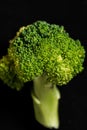 Bunch of fresh green broccoli tips macro closeup Royalty Free Stock Photo