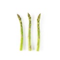 Bunch of Raw Garden Asparagus