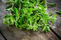 Bunch of raw green herb marjoram on a wooden table Royalty Free Stock Photo