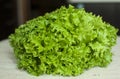 Bunch of raw organic green frisee salad close up. Royalty Free Stock Photo